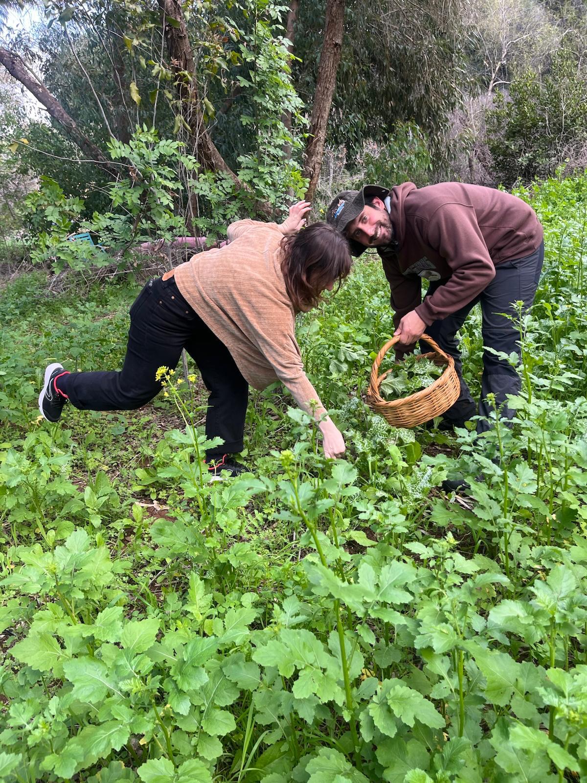 עין דור 3.jfif