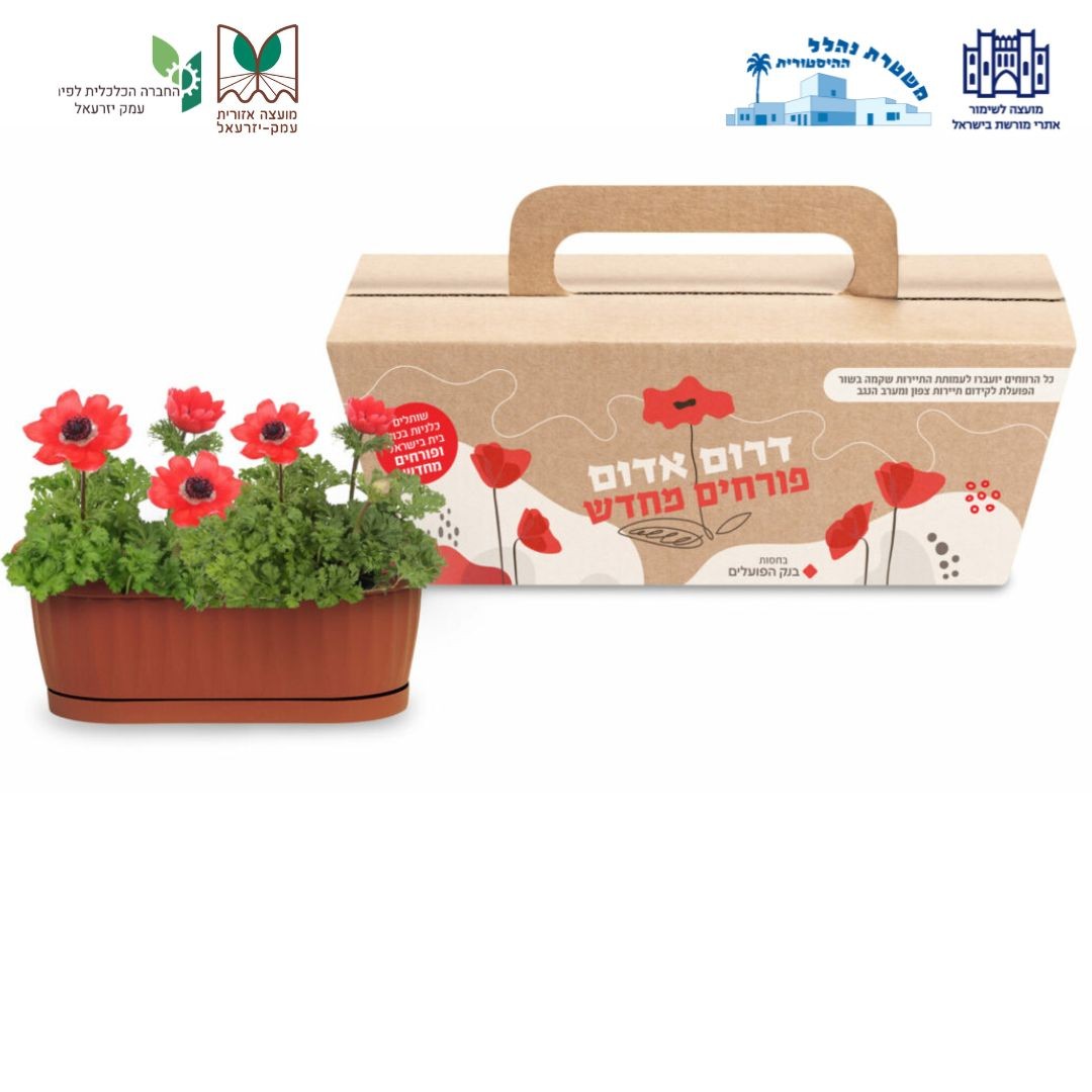 דרום אדום22.jpg