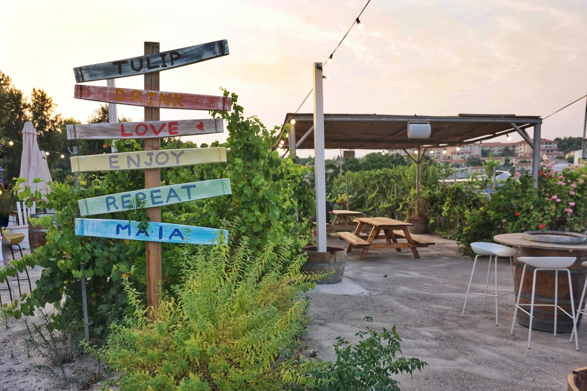 טוליפ צילום יפתח כהן.jpeg