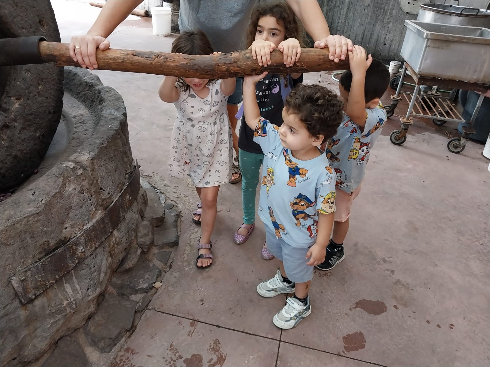 פעילות הזית.jpg