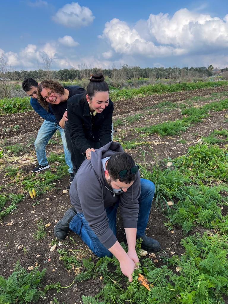 תמונה של WhatsApp‏ 2025-11-28 בשעה 08.46.16_2da24b7f.jpg