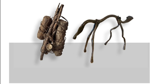 שיח גלריה ברכבת העמק כפר יהושע .png