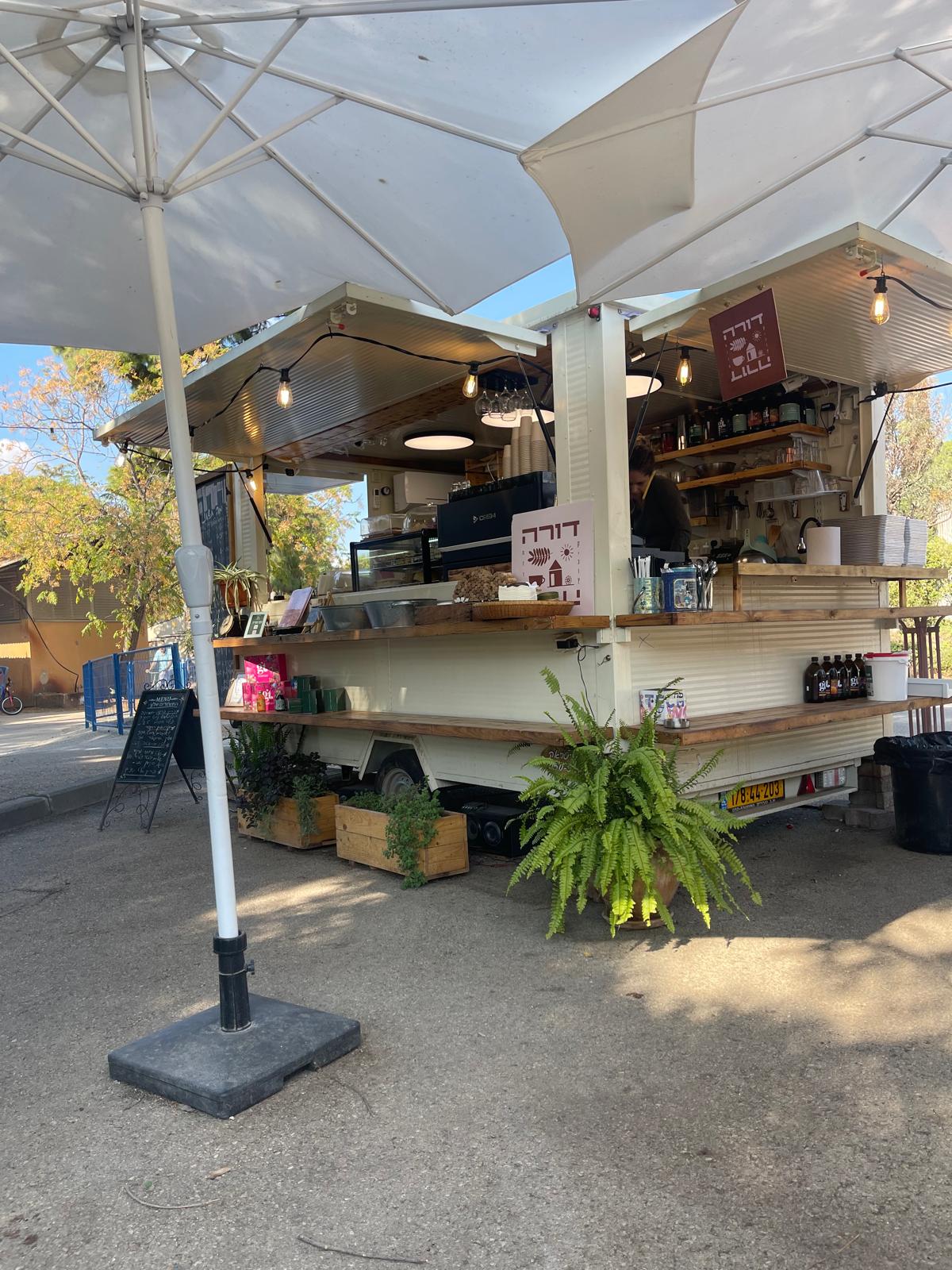 דורה מזרע.jpeg