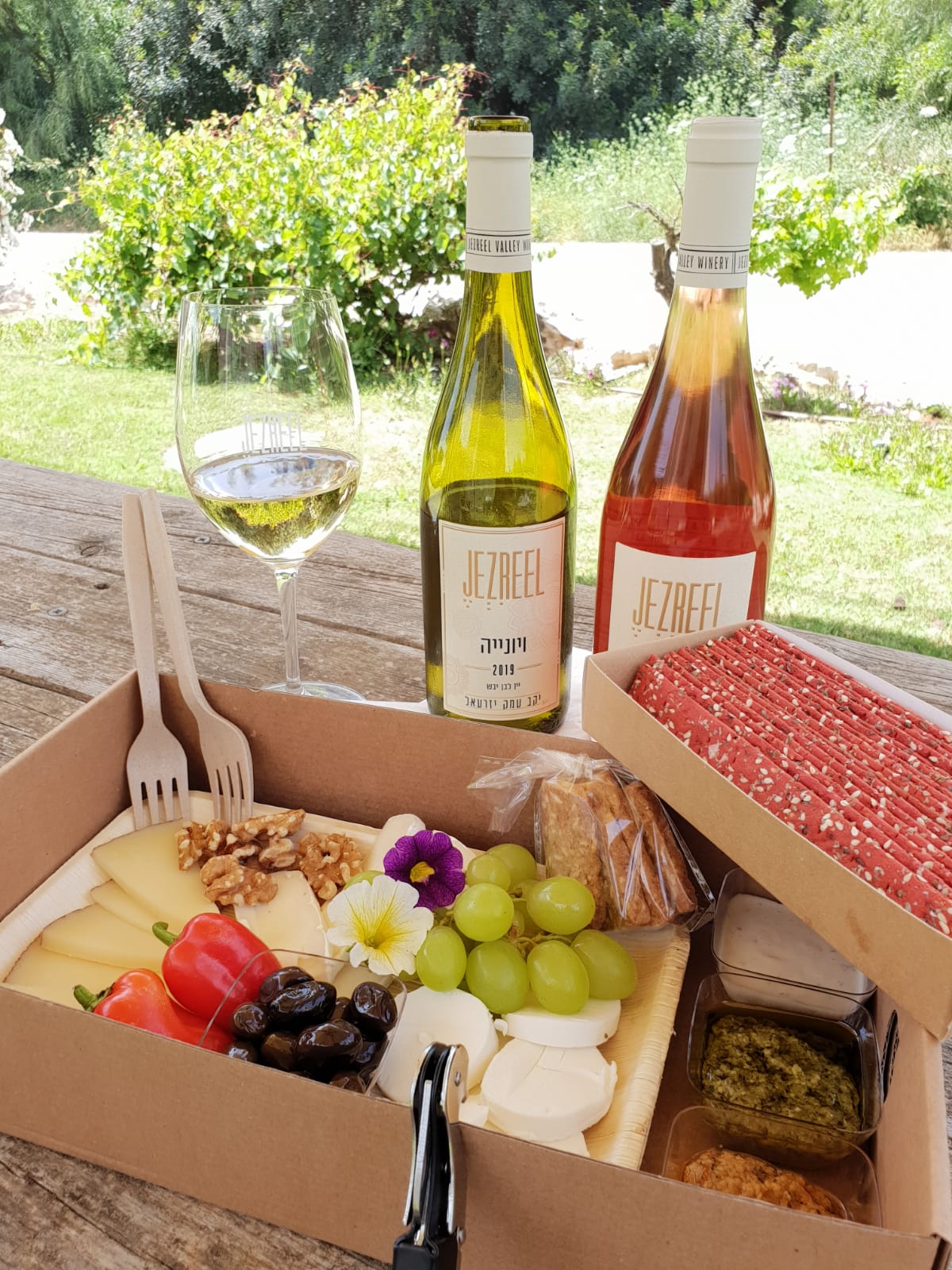 יקב יזרעאל.jpeg