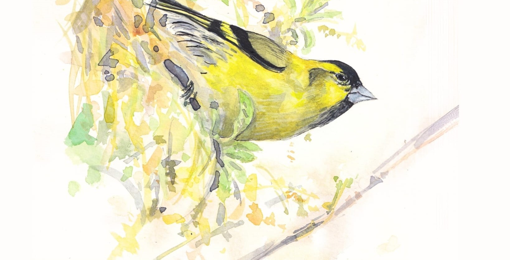 ab5dc827-a1bb-43db-994d-a5bfb5e4f5b9 (1).jpg