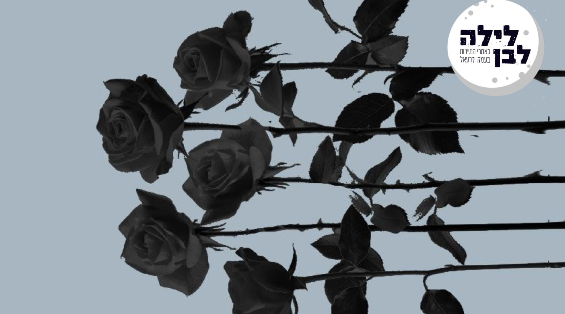 Untitled design (16).png