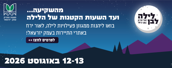 לילה לבן 2026