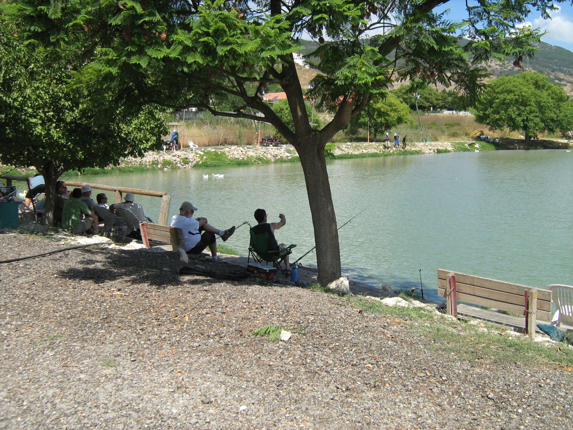 Picture 025.jpg