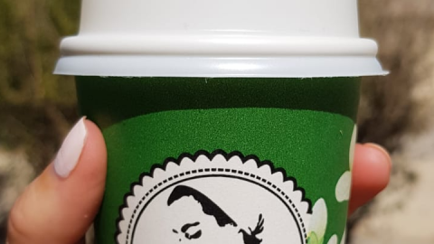 גולדה בחצר