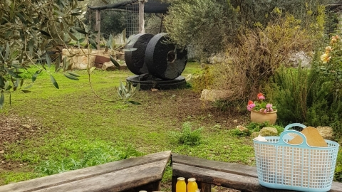 גולדה בחצר