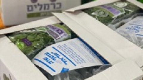 בית הבד ריש לקיש 