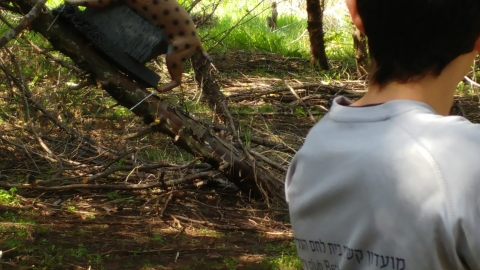 בית הבד ריש לקיש 