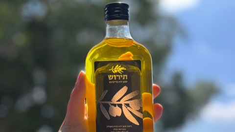 תירוש שמן זית פרימיום 