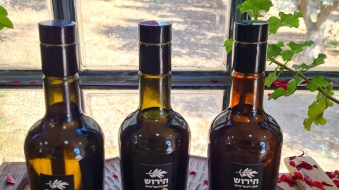 תירוש שמן זית פרימיום 