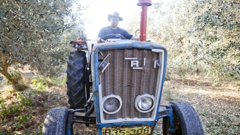 תירוש שמן זית פרימיום 