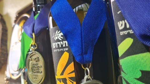 תירוש שמן זית פרימיום 