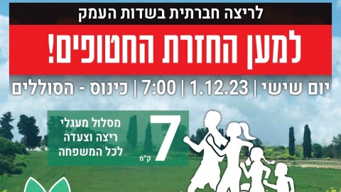 בית הבד ריש לקיש 