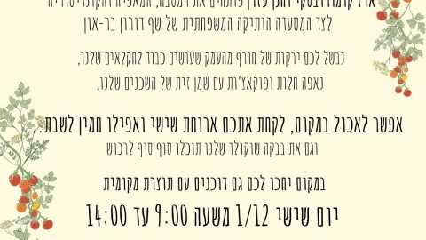 בית הבד ריש לקיש 