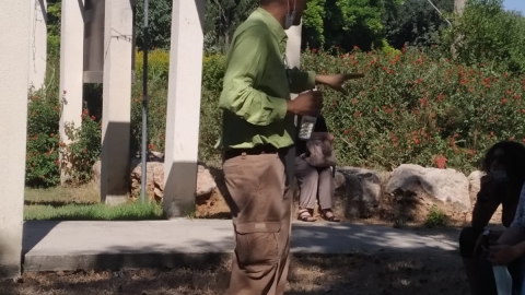 ארנון רומן מורה דרך