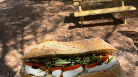 עגלת קפה כרמלה 