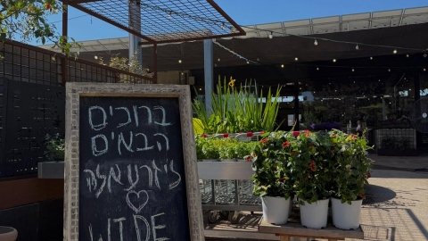 wide garden משתלת יזרעאלה 